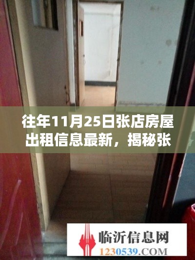 揭秘张店隐秘小巷的宝藏小店,房屋出租新风尚(往年11月25日)
