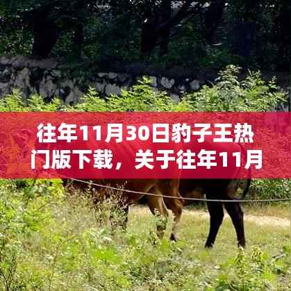 往年11月30日豹子王热门版,全面评测与介绍下载指南