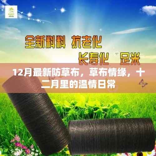 十二月最新防草布,温情日常的草布情缘