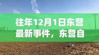 东营自然之旅,探索美景,寻找内心的宁静与平和——往年12月最新事件回顾