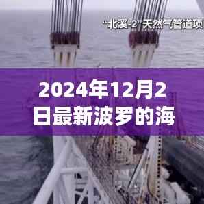 波罗的海指数最新动态,深层影响与前景展望(2024年12月)