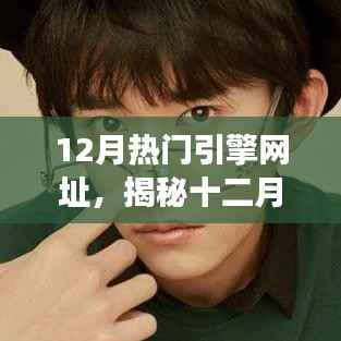 12月热门引擎网址,揭秘十二月热门引擎网址,背景、事件、影响与时代地位
