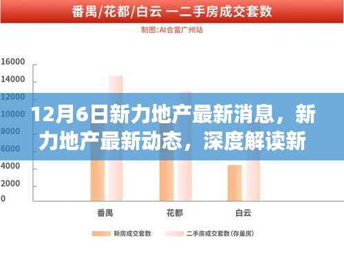 新力地产最新动态,深度解读三大要点更新