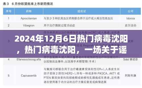 谣言与真相的探讨,聚焦沈阳热门病毒事件,2024年12月6日纪实报道