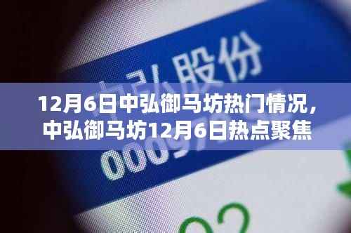 中弘御马坊12月6日热点探秘,揭秘当日热门情况