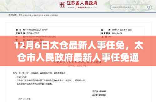 太仓市人民政府最新人事任免通知,聚焦人事调整动态(12月6日更新)