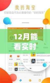 揭秘十二月智能菜价软件的崛起之路,实时追踪菜价,掌握生活脉动的新利器。