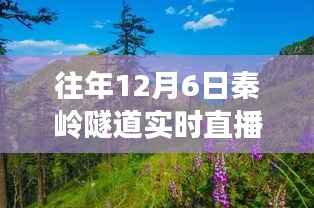 秦岭隧道探秘之旅,与自然美景的邂逅,寻找内心的宁静直播日纪实