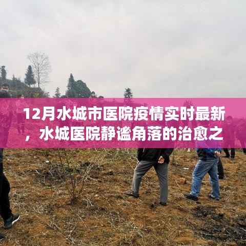 水城医院疫情最新动态,静谧角落的治愈与自然美景探索