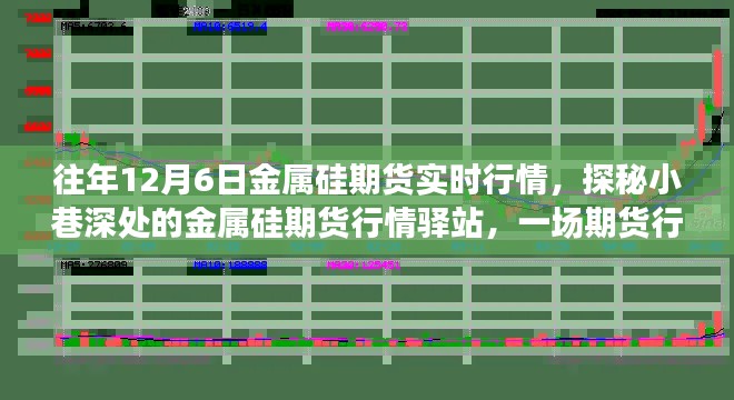 金属硅期货实时行情揭秘，小巷深处的行情驿站与独特环境邂逅体验