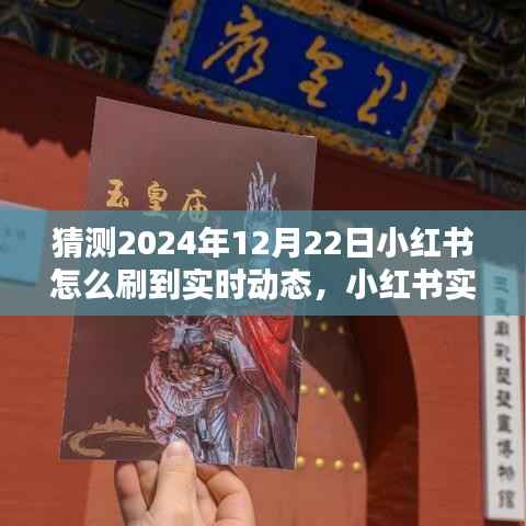 掌握未来动态,小红书实时动态刷新攻略,轻松获取最新资讯