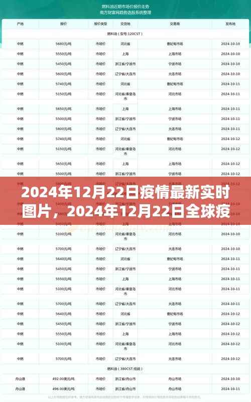 全球疫情最新实时图片报道,2024年12月22日疫情动态分析
