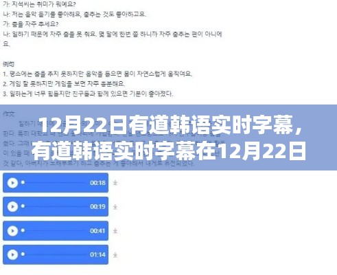 有道韩语实时字幕新功能解析,优劣分析与应用影响