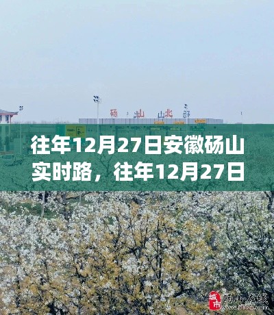 安徽砀山实时路发展回顾,利弊分析与个人立场观点分享