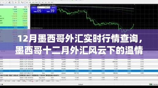 墨西哥十二月外汇行情实时解析,温情日常与外汇风云的交织