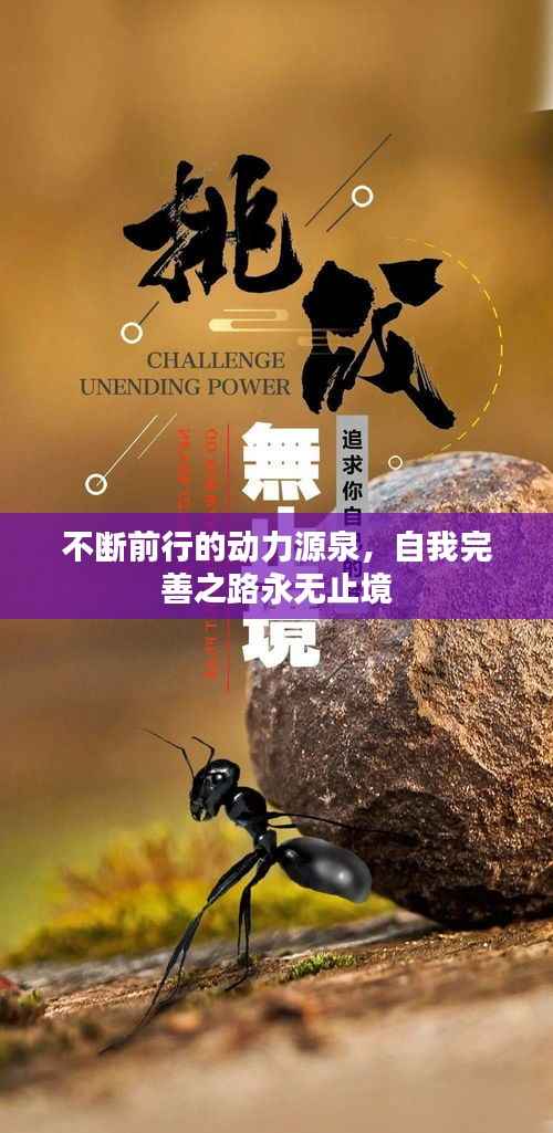 不断前行的动力源泉,自我完善之路永无止境