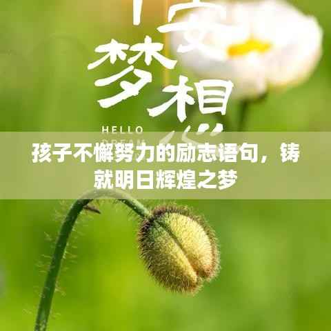 孩子不懈努力的励志语句,铸就明日辉煌之梦
