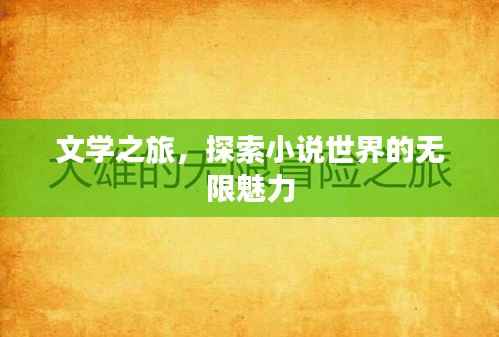 文学之旅，探索小说世界的无限魅力