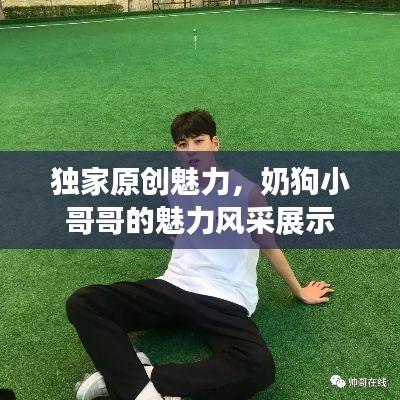 独家原创魅力,奶狗小哥哥的魅力风采展示
