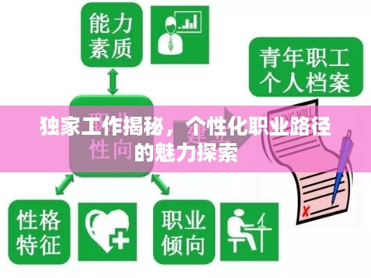 独家工作揭秘,个性化职业路径的魅力探索