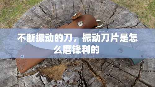 不断振动的刀,振动刀片是怎么磨锋利的