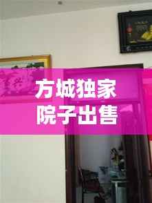 方城独家院子出售信息，方城近期独家小院出售老房子 