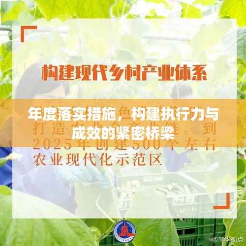 年度落实措施,构建执行力与成效的紧密桥梁