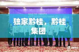 独家黔桂,黔桂集团