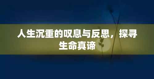 人生沉重的叹息与反思,探寻生命真谛