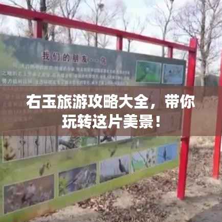 右玉旅游攻略大全,带你玩转这片美景!