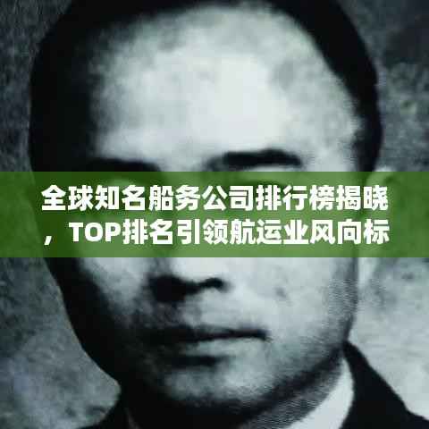 全球知名船务公司排行榜揭晓,TOP排名引领航运业风向标