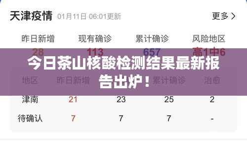 今日茶山核酸检测结果最新报告出炉!