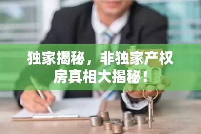 独家揭秘,非独家产权房真相大揭秘!