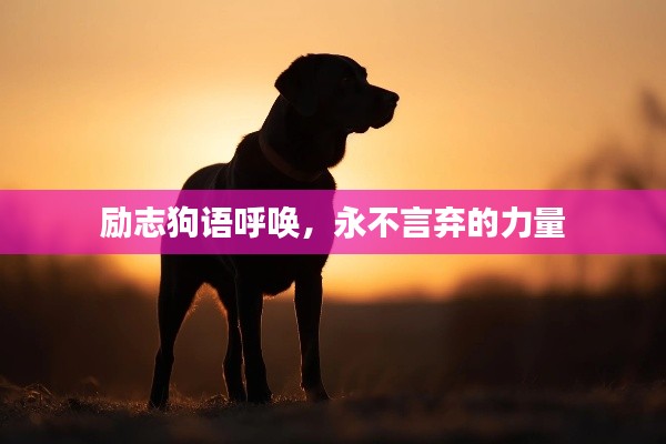 励志狗语呼唤,永不言弃的力量
