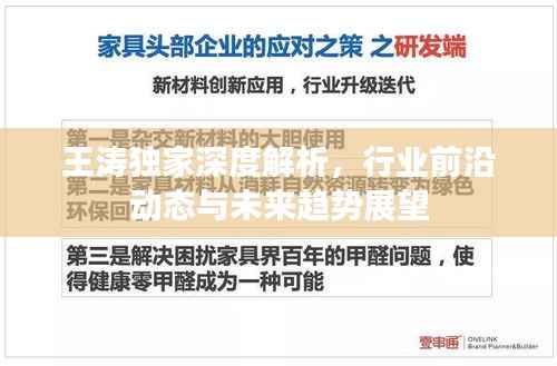 王涛独家深度解析,行业前沿动态与未来趋势展望