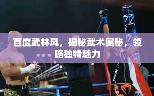 百度武林风，揭秘武术奥秘，领略独特魅力