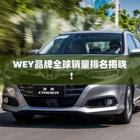 WEY品牌全球销量排名揭晓!