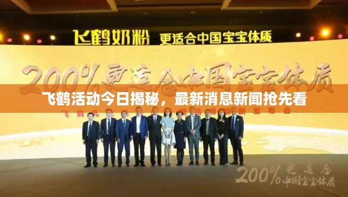 飞鹤活动今日揭秘,最新消息新闻抢先看