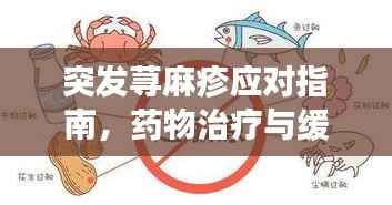 突发荨麻疹应对指南,药物治疗与缓解策略