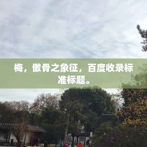 梅,傲骨之象征,百度收录标准标题。