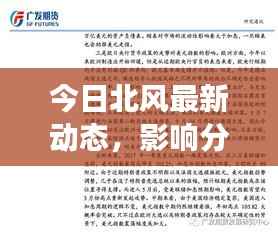 今日北风最新动态,影响分析与后续趋势预测