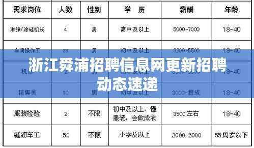 浙江舜浦招聘信息网更新招聘动态速递