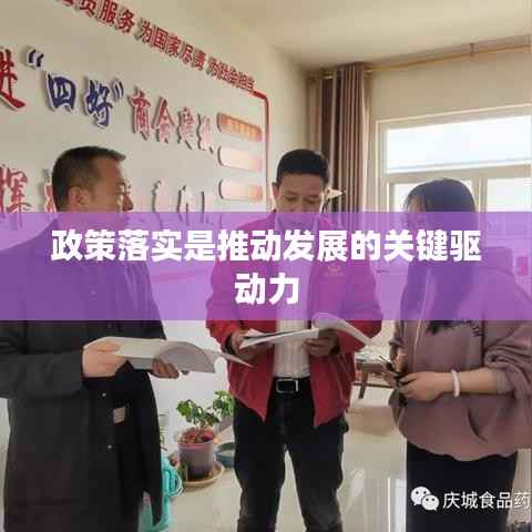 政策落实是推动发展的关键驱动力