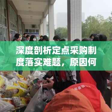 深度剖析定点采购制度落实难题，原因何在？