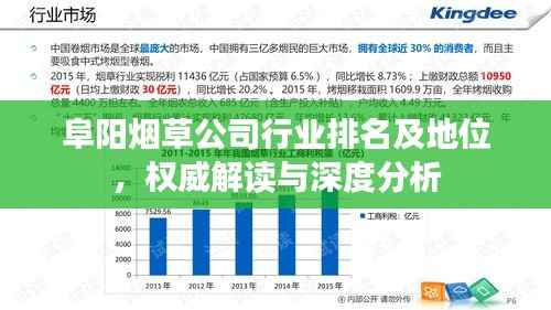 阜阳烟草公司行业排名及地位,权威解读与深度分析