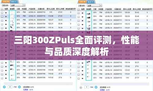 三阳300ZPuls全面评测,性能与品质深度解析