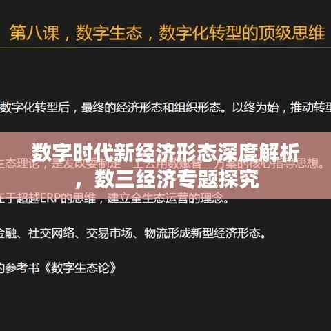 数字时代新经济形态深度解析,数三经济专题探究