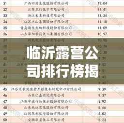 临沂露营公司排行榜揭晓,热门露营企业榜单不容错过!