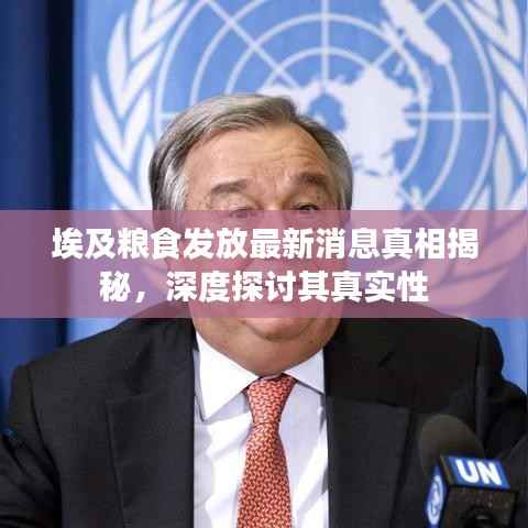 埃及粮食发放最新消息真相揭秘,深度探讨其真实性