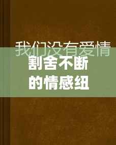 割舍不断的情感纽带,深度解读背后的故事